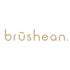 Brushean