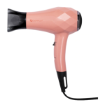 Zuanzhuan 鑽轉 10040129 1000W 迷你旅行風筒 (珊瑚紅)