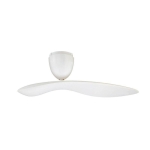 Iconic SYCAMORE 54'' 天花吊扇 (啞白色)