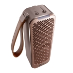 LG 樂金 AP151MGA1 18平方呎 PuriCare™ 便攜式空氣清新機 (金色) (韓國製造)