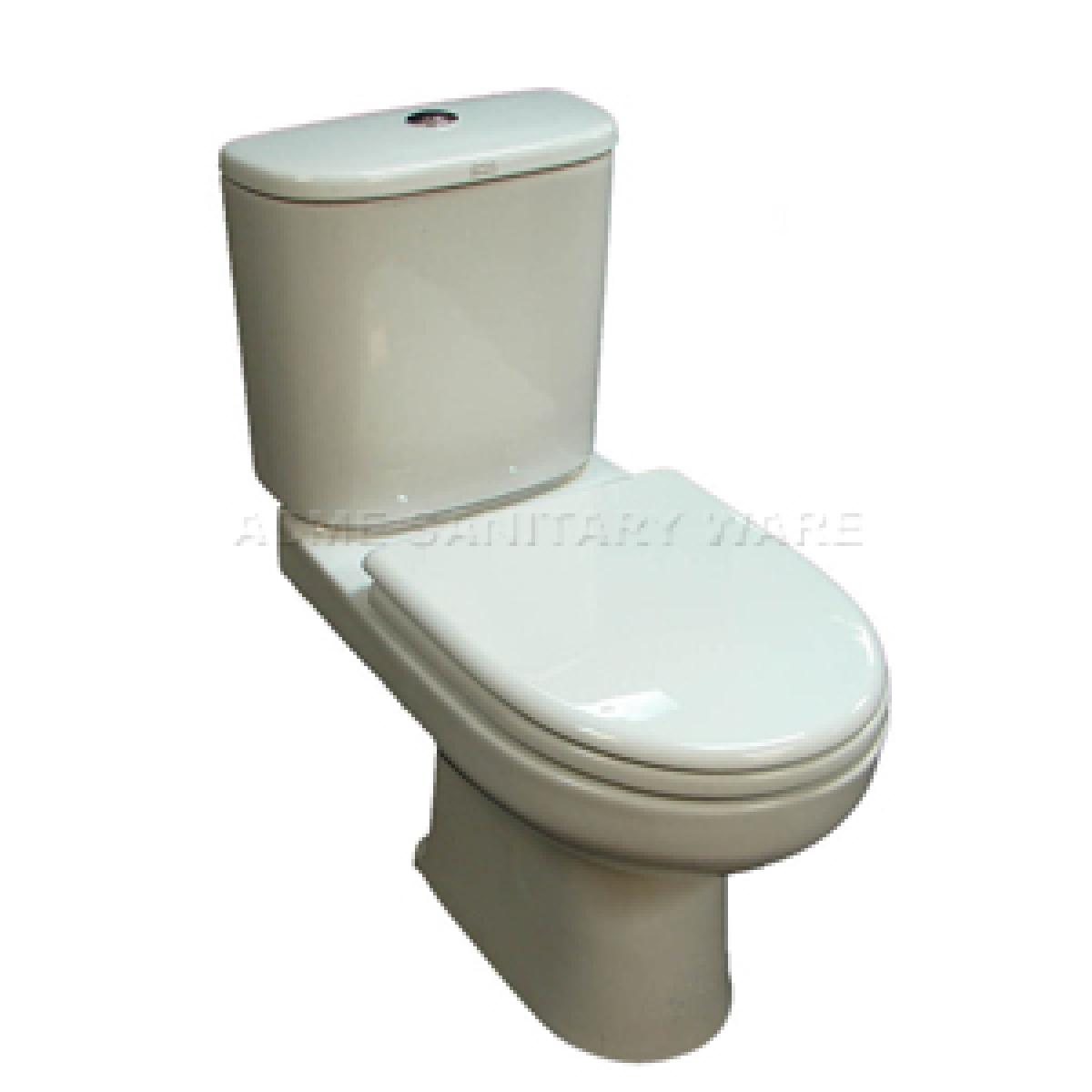 American Standard WP-3041 美標高咀分體座廁 (不包含風琴喉)