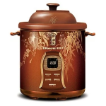 Rasonic 樂信 RA-PCSP48 4.8公升 紫砂湯煲