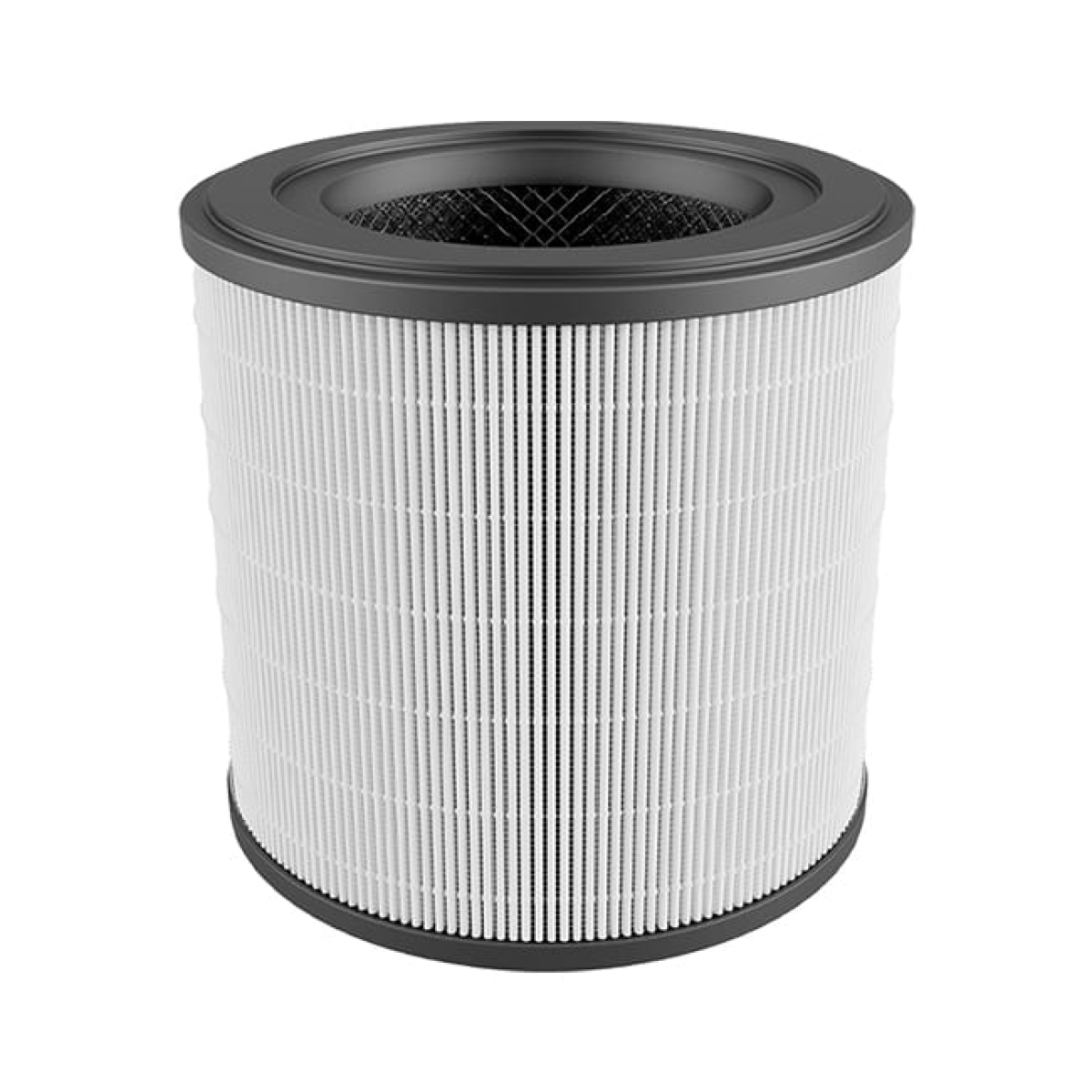 Electrolux 伊萊克斯 EFFCLN2 HEPA13 抗菌濾網 (Flow A3 FA31-202GY 專用)