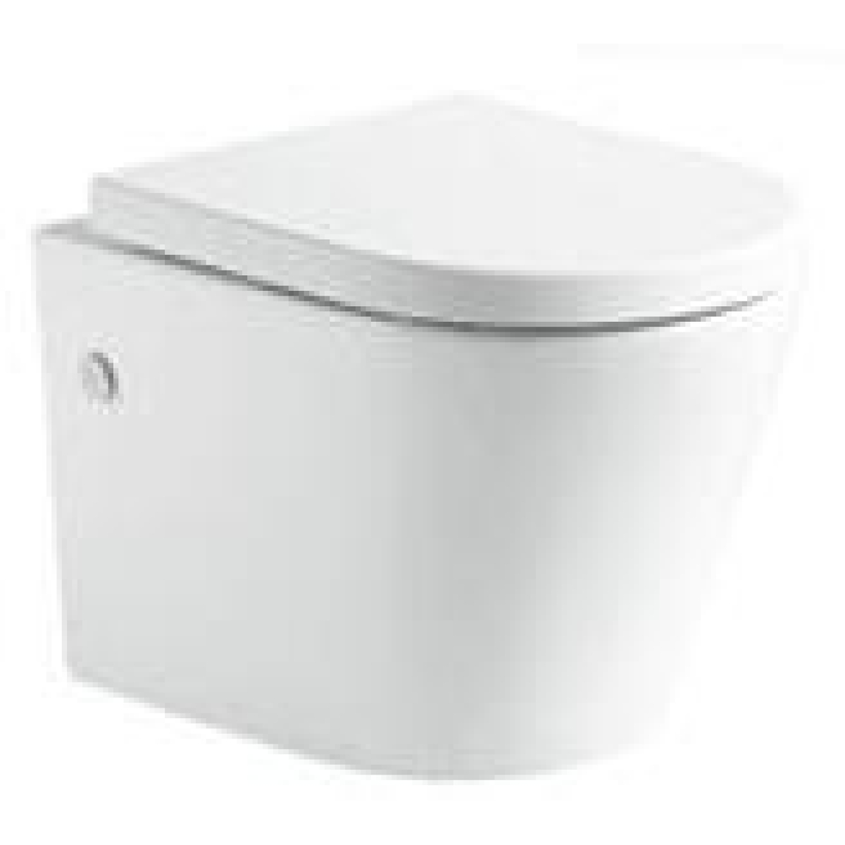 Richford R202 壁掛式座廁 (不包含風琴喉)