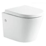 Richford R202 壁掛式座廁 (不包含風琴喉)