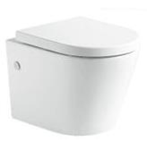 Richford R202 壁掛式座廁 (不包含風琴喉)