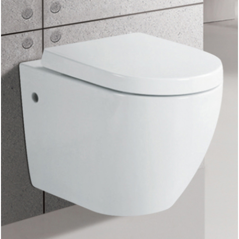 Richford R276 掛牆式座廁 (不包含風琴喉)