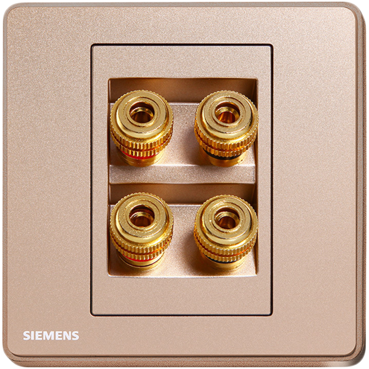 Siemens 西門子 5UH81823PC04 四接線音響插座 (金)