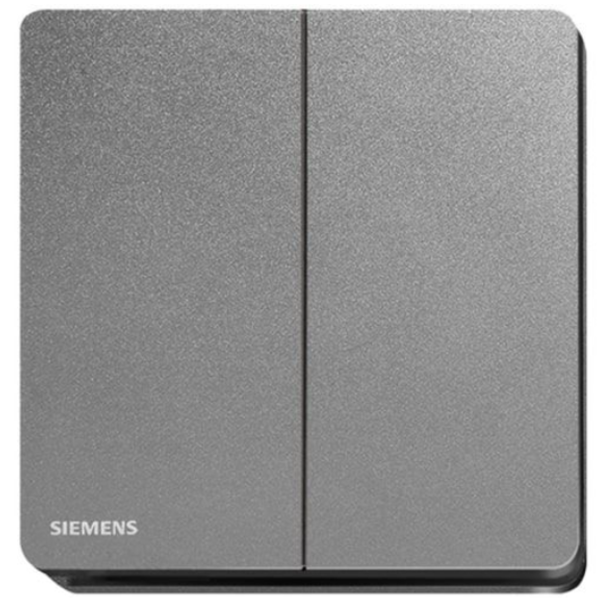 Siemens 西門子 5TA81243PC05 16AX 雙位雙控開關掣 (銀灰色)