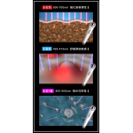Rootonix RT-01 Volume Booster 無線LED生髮儀