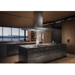 Gaggenau AI442100 100厘米 中島式抽油煙機