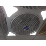 Windy 大風牌 PO14L 天花板式風扇+LED燈 (附遙控器)