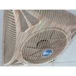 Windy 大風牌 PO14 天花板式風扇 (附遙控器)