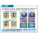 X-Cube A420 多功能超聲波菜機