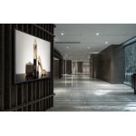 Panasonic 樂聲 TH-65EQ1 65吋 商用 4K 展示屏