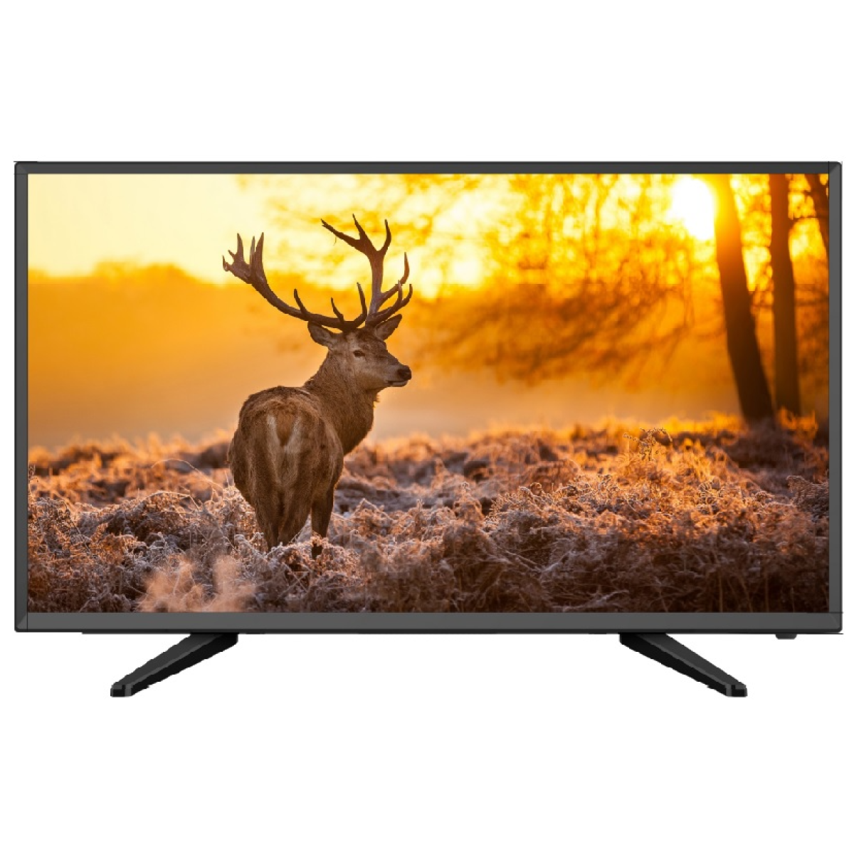 Prima 厦華 LE-32MT61H 32吋 LED 平面電視