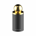 Vall DCVSP-01 火山石抗菌面部吸油棒 (金色圓頭)