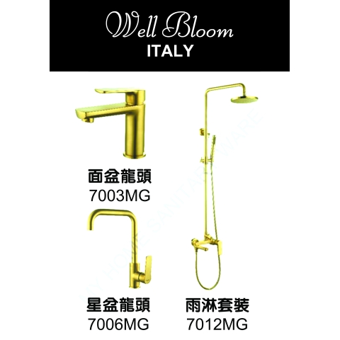 Well Bloom Italy 700MGR 拉絲金龍頭連雨淋套裝