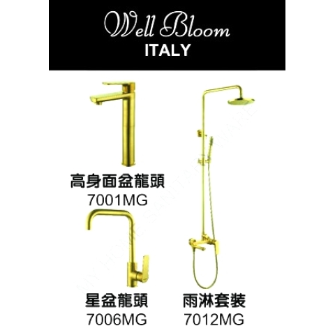 Well Bloom Italy 700MGR2 拉絲金龍頭連雨淋套裝