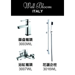 Well Bloom Italy 300WL 不銹鋼拉絲龍頭套裝