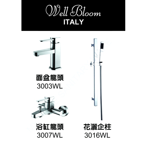 Well Bloom Italy 300WL 不銹鋼拉絲龍頭套裝