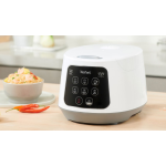 Tefal 特福 RK7301 1.0公升 球釜電飯煲