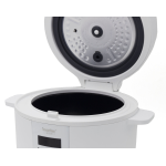 Imarflex 伊瑪 IRC-FC30Y 1.0公升 「雪釜」 快思邏輯電飯煲