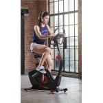 Reebok FIT266 GB50 直立健身車 (黑色) (RBK0266BK)