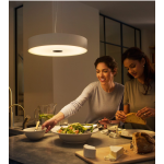 Philips 飛利浦 40339 Fair Hue 黃白光吊燈 1x33.5W 24V (白色) (藍牙版) (915005912901)