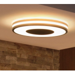 Philips 飛利浦 32610 Being Hue 黃白光吸頂燈 1x27W 24V (黑色) (藍牙版) (929003055101)