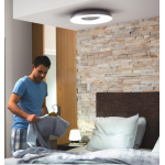 Philips 飛利浦 32613 Still Hue 黃白光吸頂燈 1x27W 24V (黑色) (藍牙版) (929003055501)