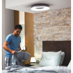 Philips 飛利浦 32613 Still Hue 黃白光吸頂燈 1x27W 24V (白色) (藍牙版) (929003055301)