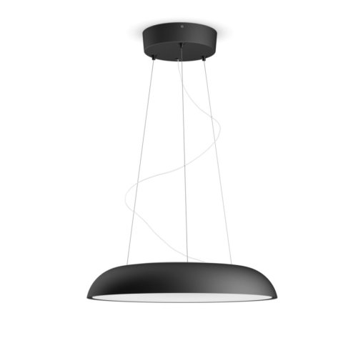 Philips 飛利浦 40233 Amaze Hue 黃白光吊燈 1x33.5W 24V (黑色) (藍牙版) (915005913401)