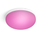Philips 飛利浦 40905 Flourish Hue 白光彩光吸頂燈 1x32W 24 (藍牙版) (919040000348)