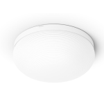 Philips 飛利浦 40905 Flourish Hue 白光彩光吸頂燈 1x32W 24 (藍牙版) (919040000348)