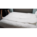 Gemini GEB12W2 單人電熱暖墊