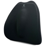 Future Lab DCFLAIB-01 7D 氣壓避震背墊