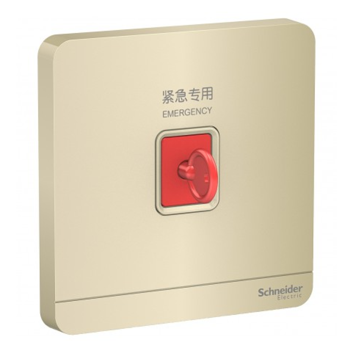 Schneider Electric 施耐德電氣 AvatarOn 緊急按鈕連鎖匙復位鍵 (沉醉金) (E8331KPB_WG_C5) Schneider Electric 施耐德電氣 AvatarOn 緊急按鈕連鎖匙復位鍵 (沉醉金) (E8331KPB_WG_C5)