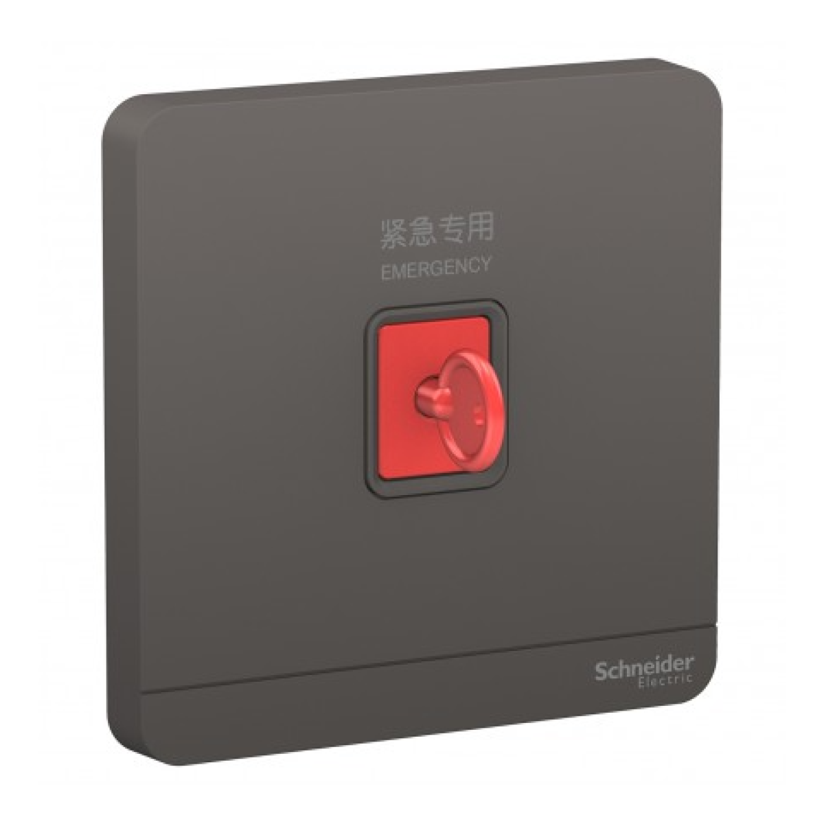 Schneider Electric 施耐德電氣 AvatarOn 緊急按鈕連鎖匙復位鍵 (石墨灰) (E8331KPB_DG_C5) Schneider Electric 施耐德電氣 AvatarOn 緊急按鈕連鎖匙復位鍵 (石墨灰) (E8331KPB_DG_C5)