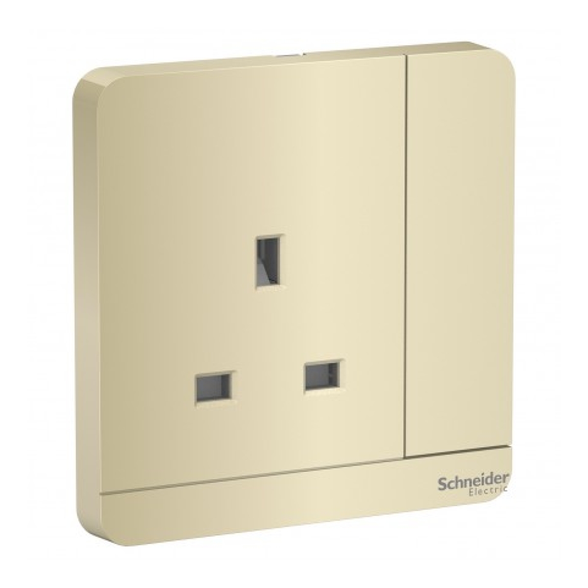 Schneider Electric 施耐德電氣 AvatarOn 13A 單位連保護門有掣插座 (沉醉金) (E8315_WG_C5)
