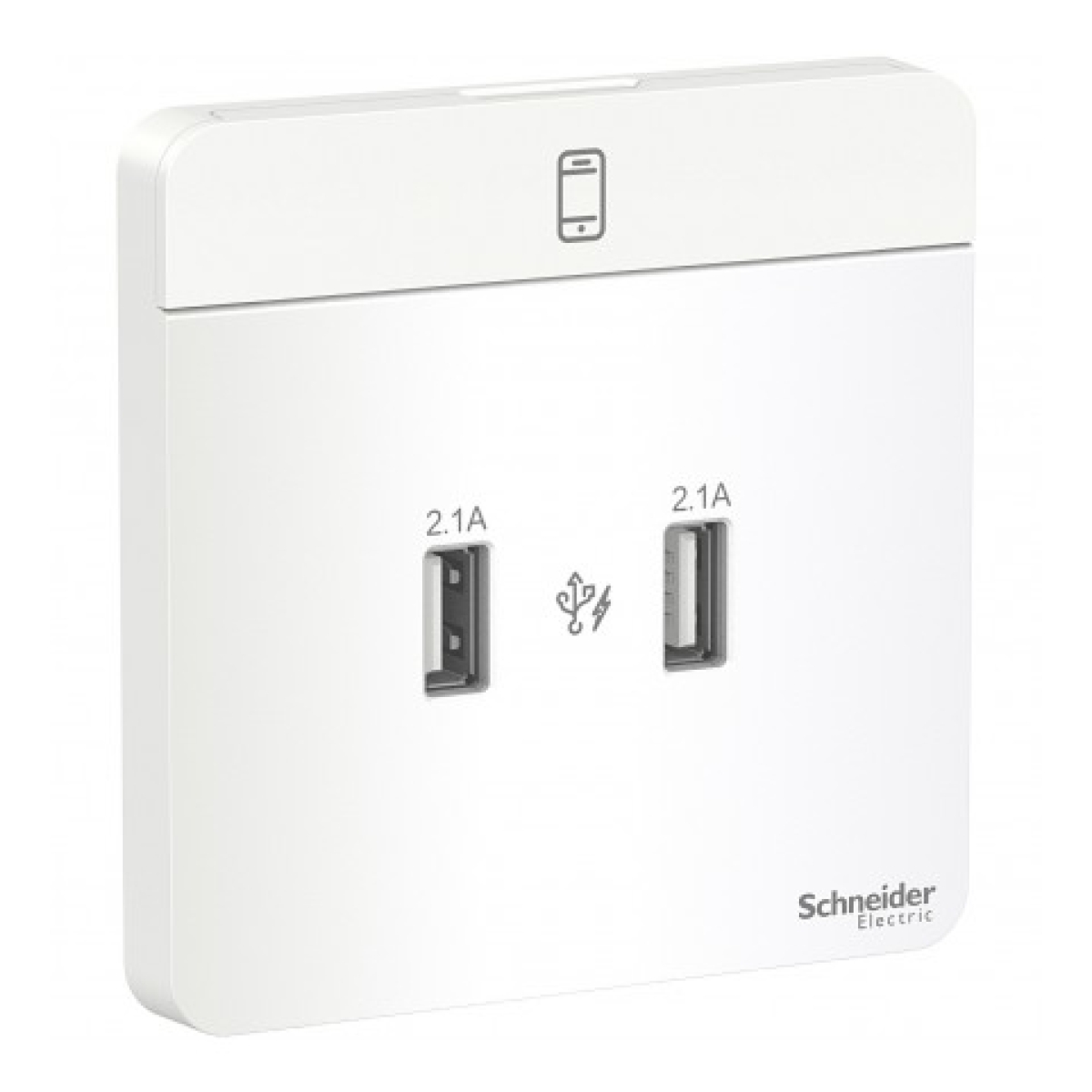 Schneider Electric 施耐德電氣 AvatarOn 兩位2.1A USB充電插座 (搪瓷白) (E8332USB_WE_C5) Schneider Electric 施耐德電氣 AvatarOn 兩位2.1A USB充電插座 (搪瓷白) (E8332USB_WE_C5)