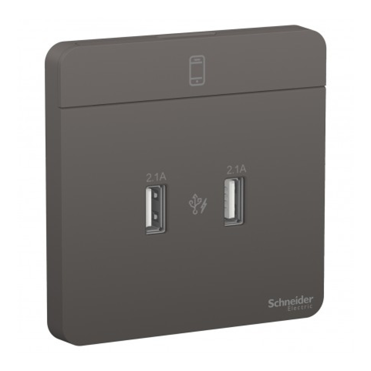Schneider Electric 施耐德電氣 AvatarOn 兩位2.1A USB充電插座 (石墨灰) (E8332USB_DG_C5) Schneider Electric 施耐德電氣 AvatarOn 兩位2.1A USB充電插座 (石墨灰) (E8332USB_DG_C5)