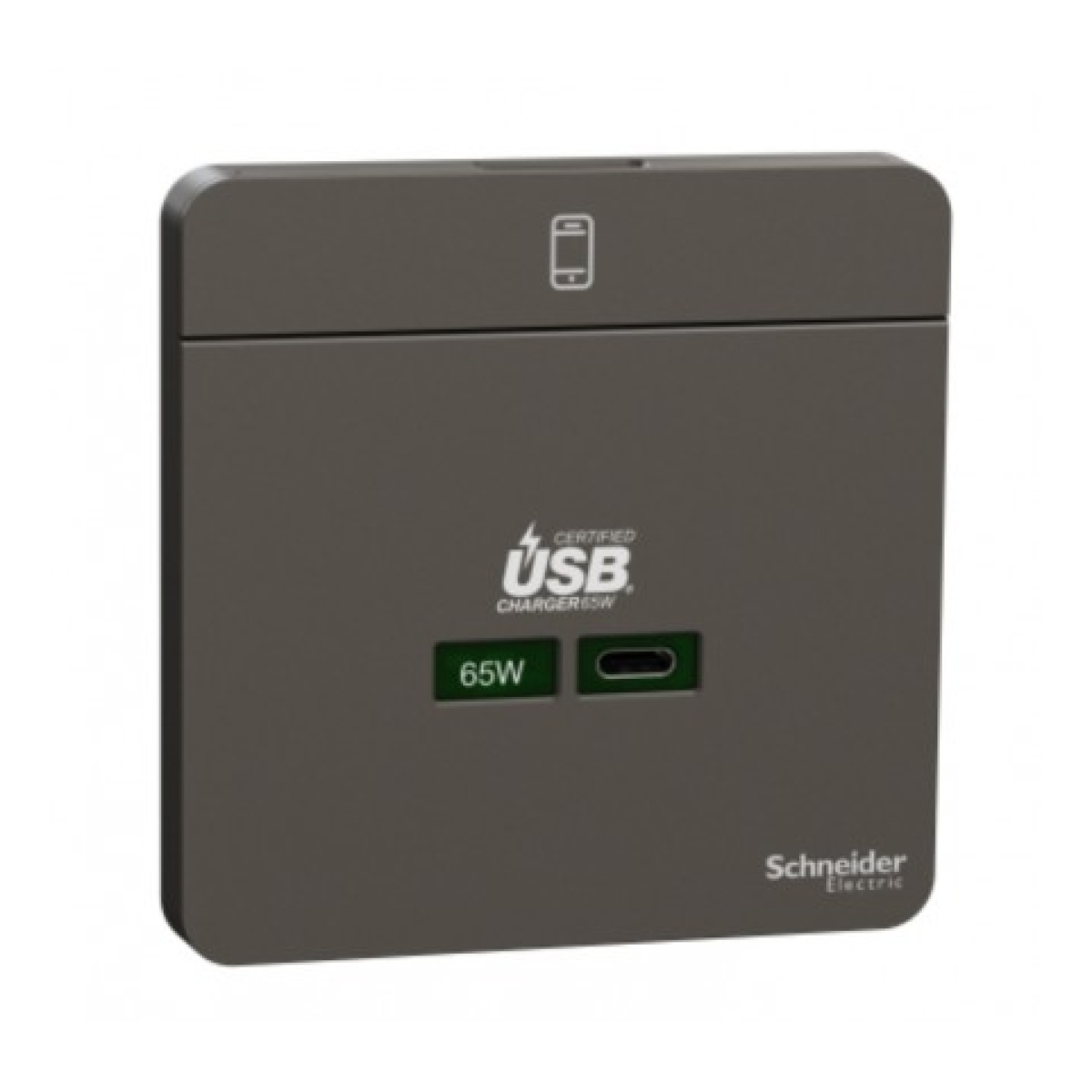 Schneider Electric 施耐德電氣 AvatarOn 65W單位USB快速充電 Type C (石墨灰) (E831USB65_DG)