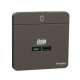 Schneider Electric 施耐德電氣 AvatarOn 65W單位USB快速充電 Type C (石墨灰) (E831USB65_DG)