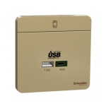 Schneider Electric 施耐德電氣 AvatarOn 45W雙位USB快速充電Type A+C (沉醉金) (E832USB45_WG)