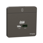 Schneider Electric 施耐德電氣 AvatarOn 45W雙位USB快速充電Type A+C (石墨灰) (E832USB45_DG)