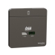Schneider Electric 施耐德電氣 AvatarOn 45W雙位USB快速充電Type A+C (石墨灰) (E832USB45_DG)