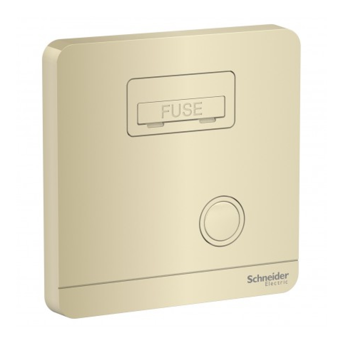 Schneider Electric 施耐德電氣 AvatarOn 13A 保險菲士蘇 (沉醉金) (E8330FSG_WG_C5)