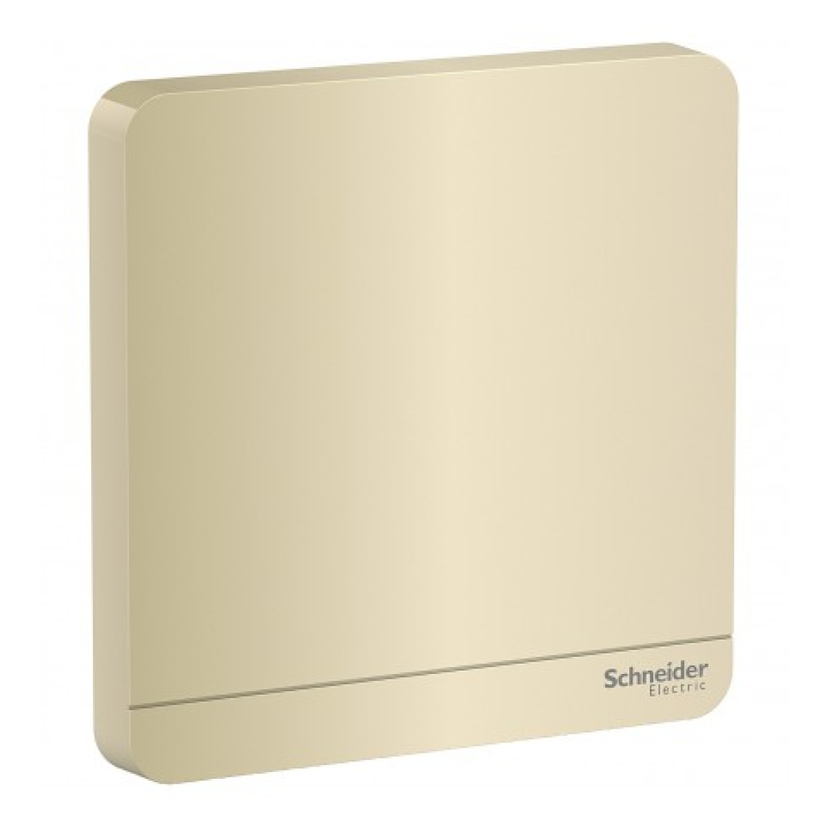 Schneider Electric 施耐德電氣 AvatarOn 單位空白掣面 (沉醉金) (E8330X_WG_C5)