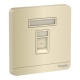 Schneider Electric 施耐德電氣 AvatarOn 單位RJ11四線電話插座，Keystone面板備防塵活門 (沉醉金) (E8331RJS4_WG_C5)